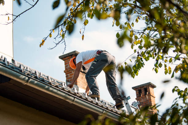 Best Storm Damage Roof Repair  in Manteno, IL