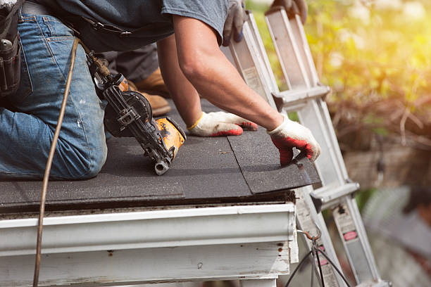 Best Roof Maintenance Services  in Manteno, IL